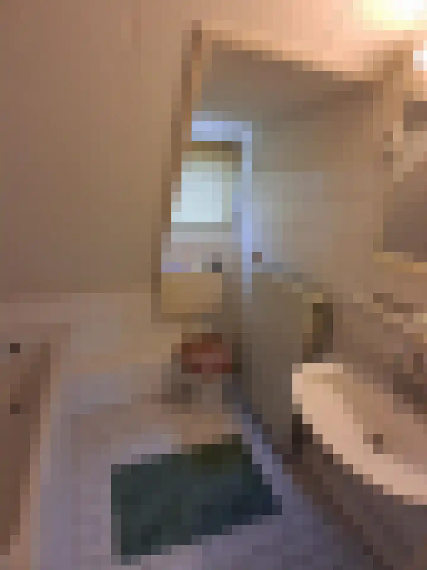 Ekster 29 Veldhoven thumbnail 57