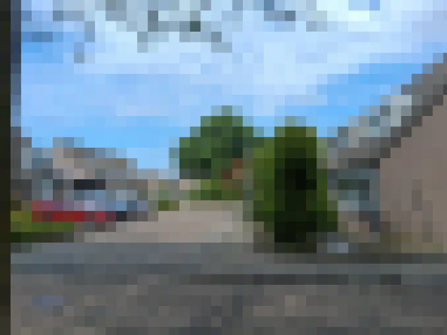 Ekster 29 Veldhoven thumbnail 6