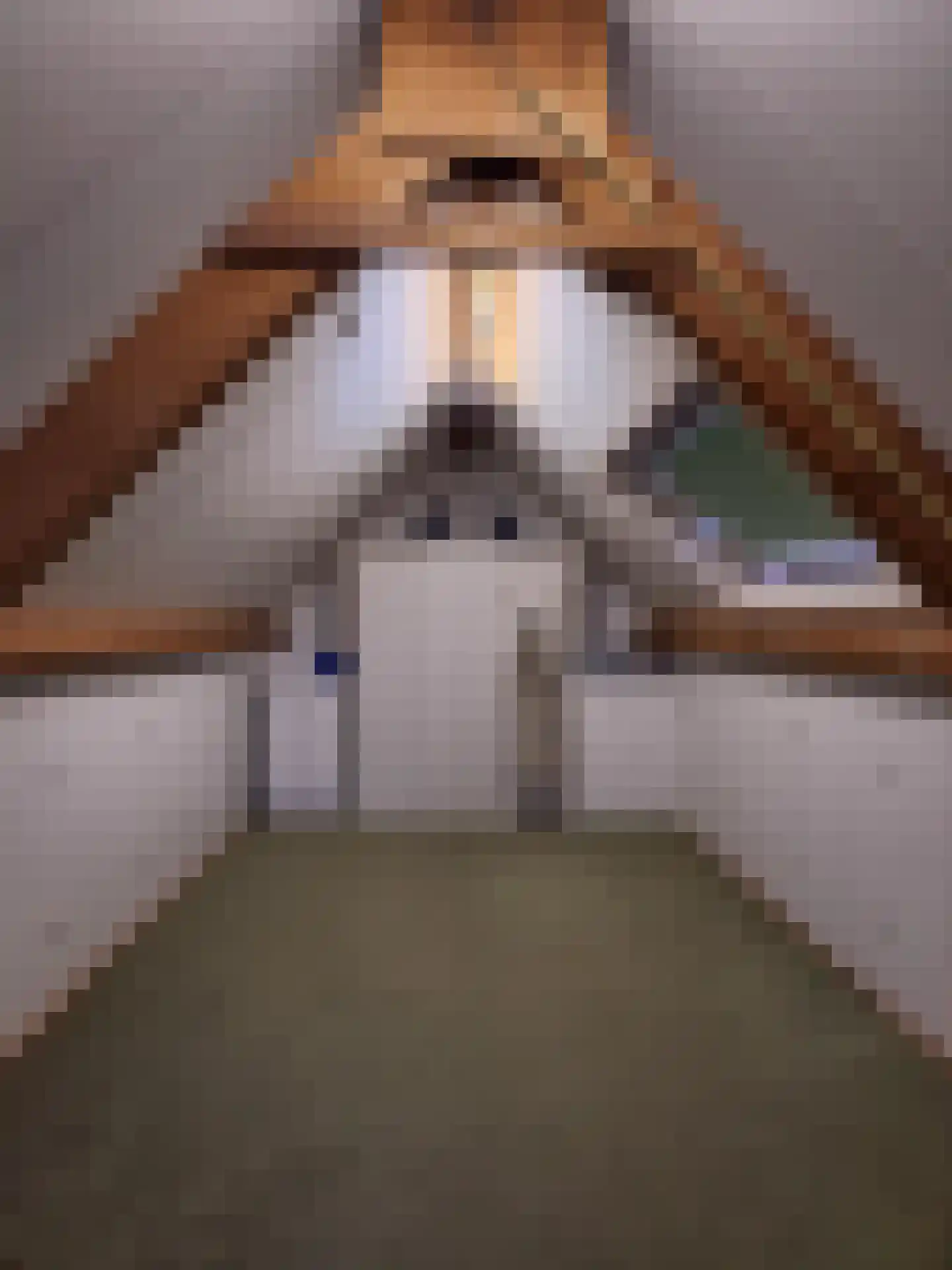 Ekster 29 Veldhoven thumbnail 64