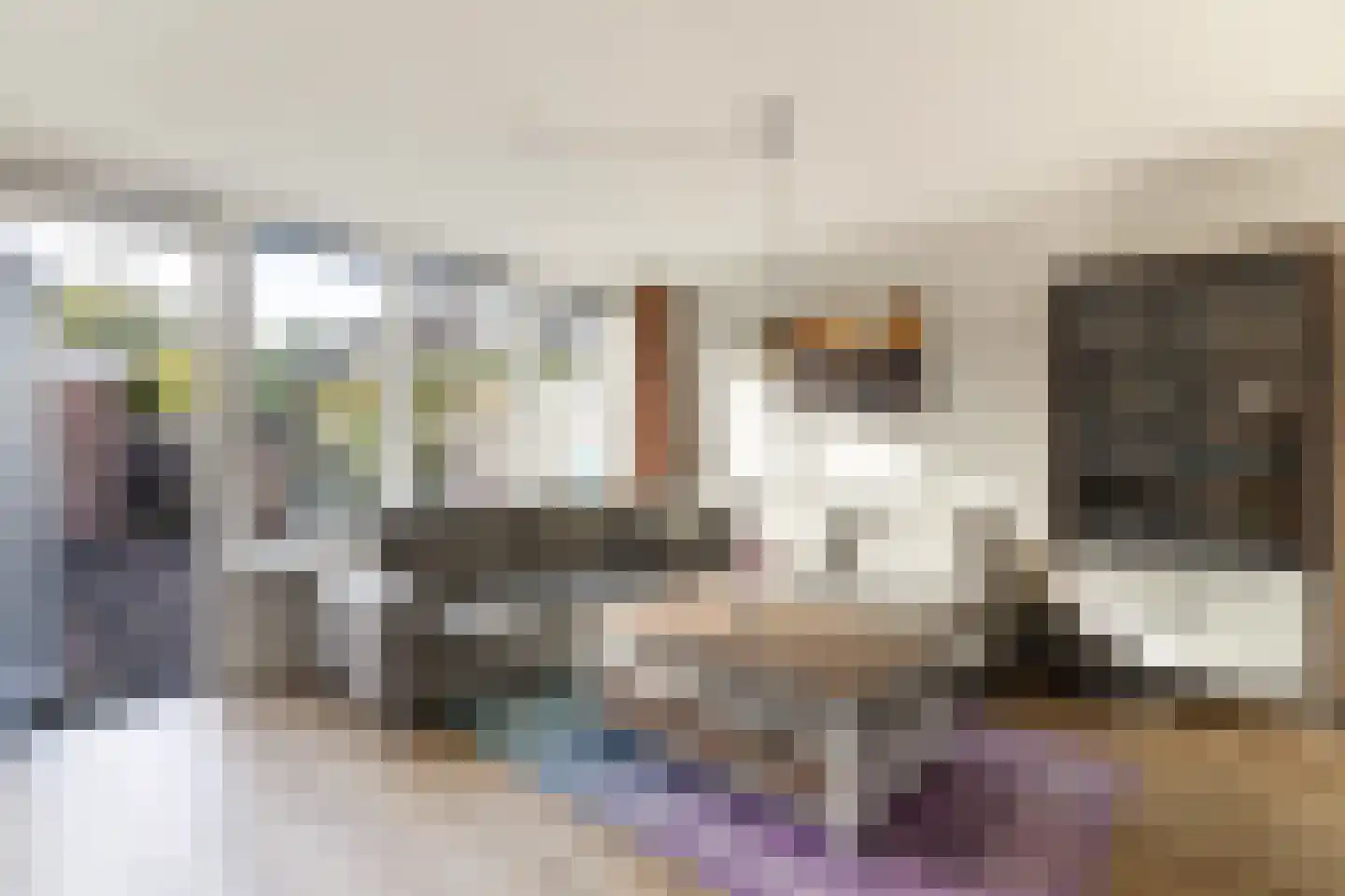Ekster 3 Barendrecht thumbnail 10