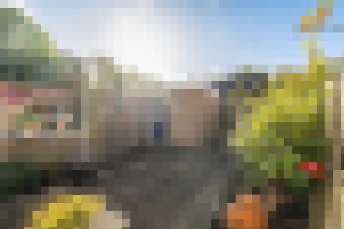 Ekster 3 Barendrecht thumbnail 12