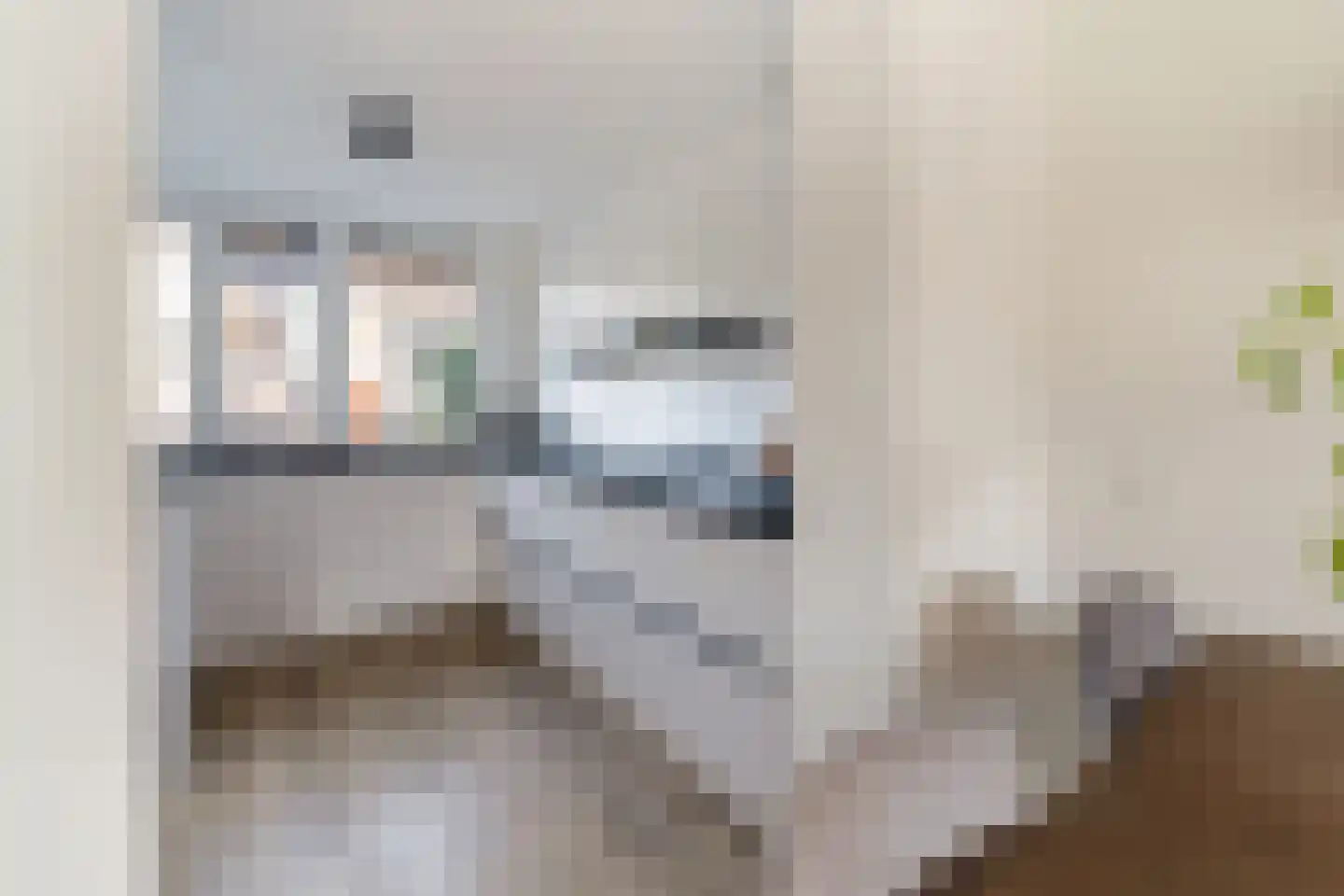 Ekster 3 Barendrecht thumbnail 15