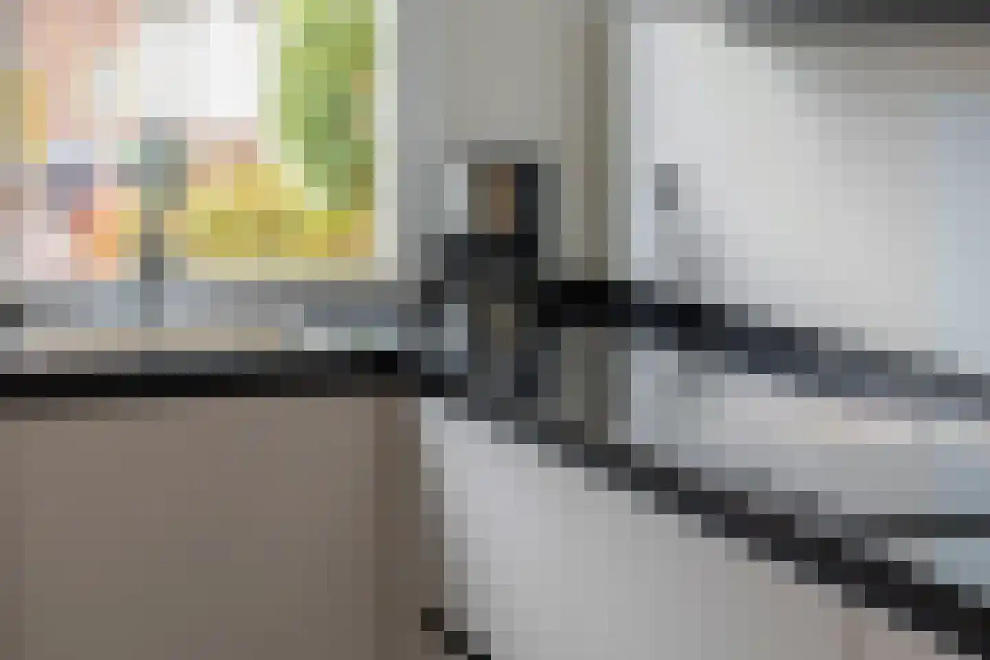 Ekster 3 Barendrecht thumbnail 17
