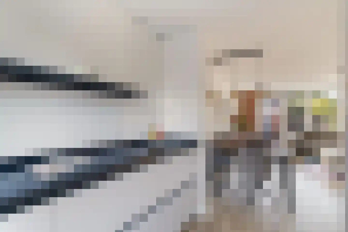 Ekster 3 Barendrecht thumbnail 18