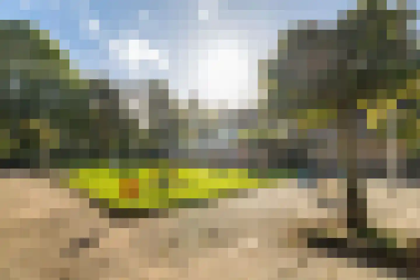 Ekster 3 Barendrecht thumbnail 39