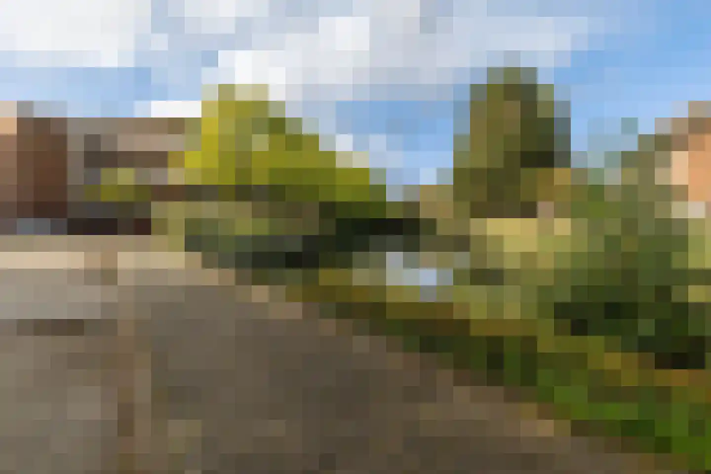 Ekster 3 Barendrecht thumbnail 42