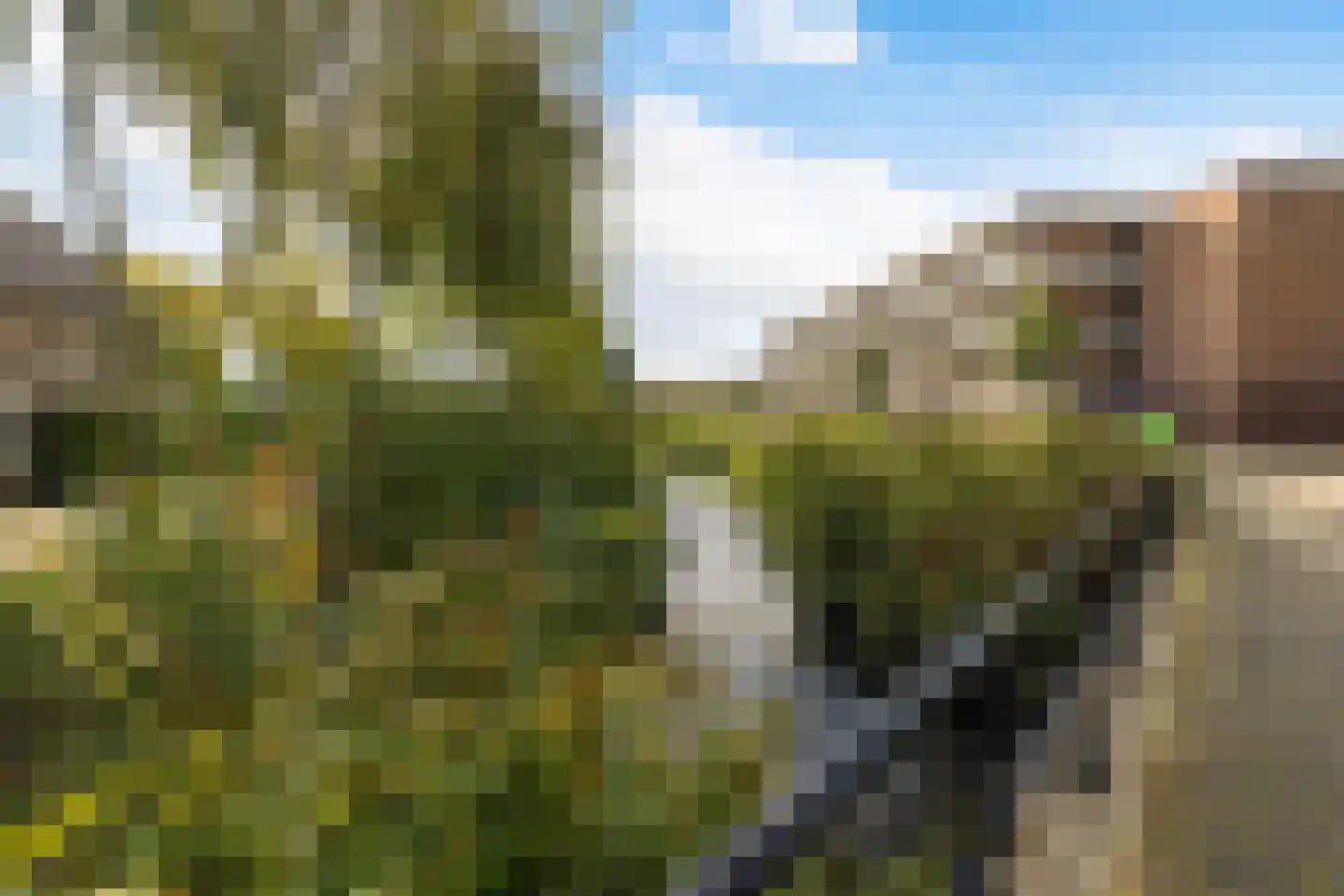 Ekster 3 Barendrecht thumbnail 43