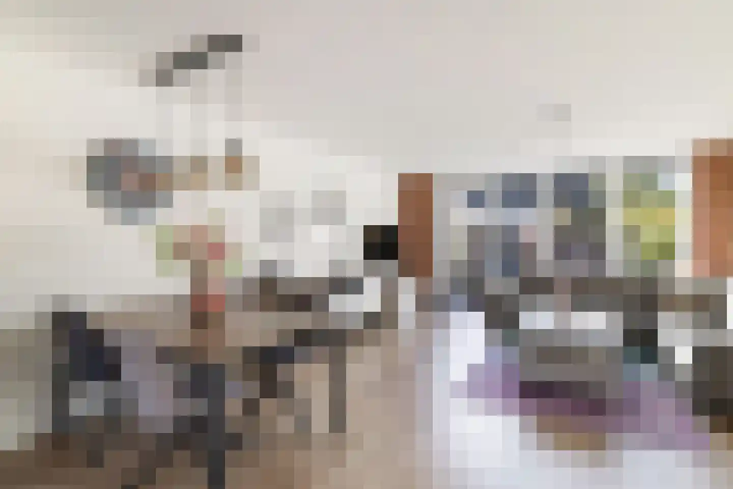 Ekster 3 Barendrecht thumbnail 5