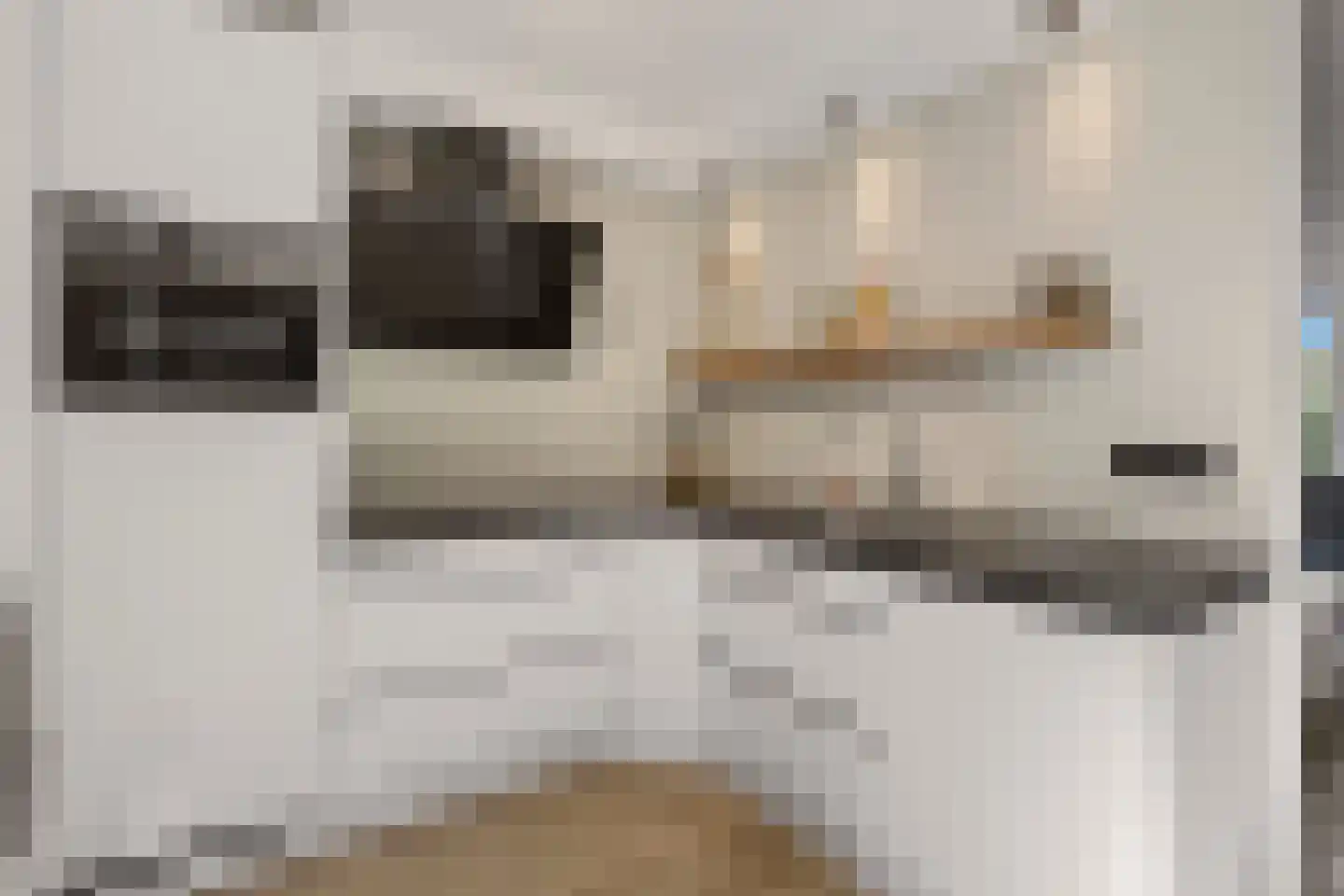 Ekster 31 Raalte thumbnail 10