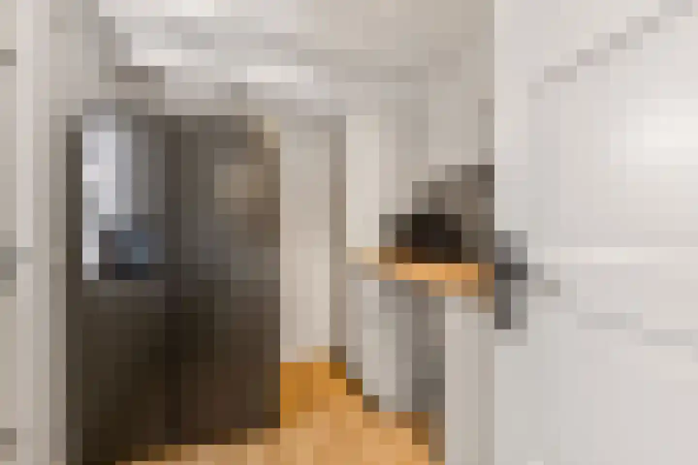 Ekster 31 Raalte thumbnail 14