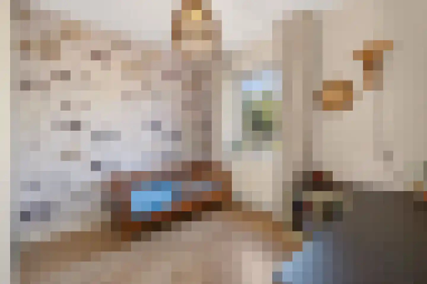 Ekster 31 Raalte thumbnail 19