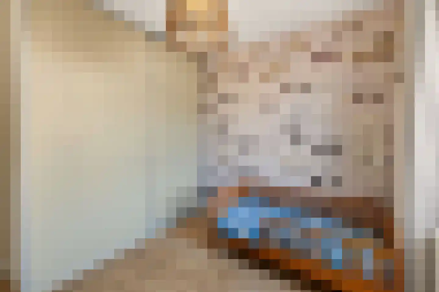 Ekster 31 Raalte thumbnail 20
