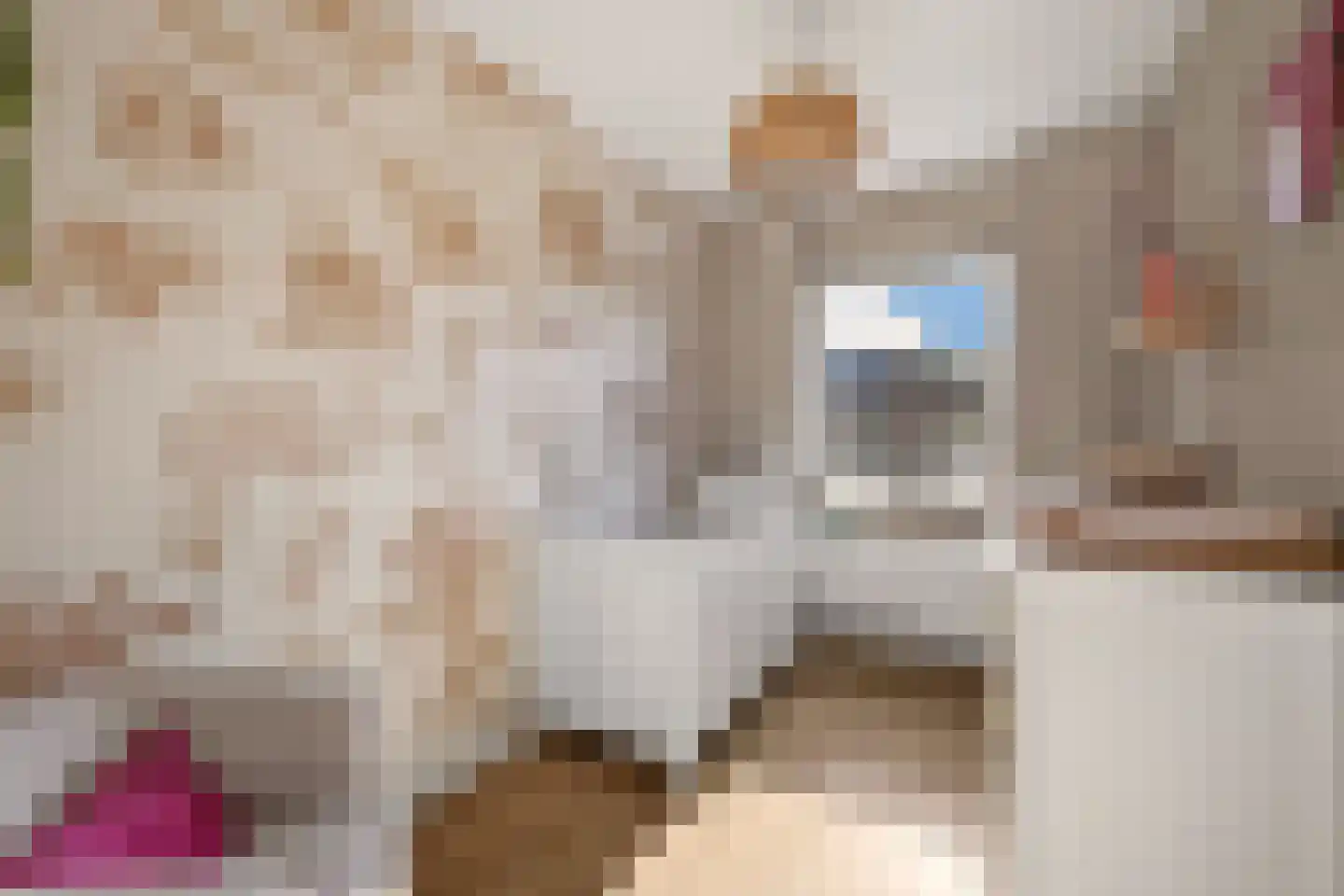 Ekster 31 Raalte thumbnail 21