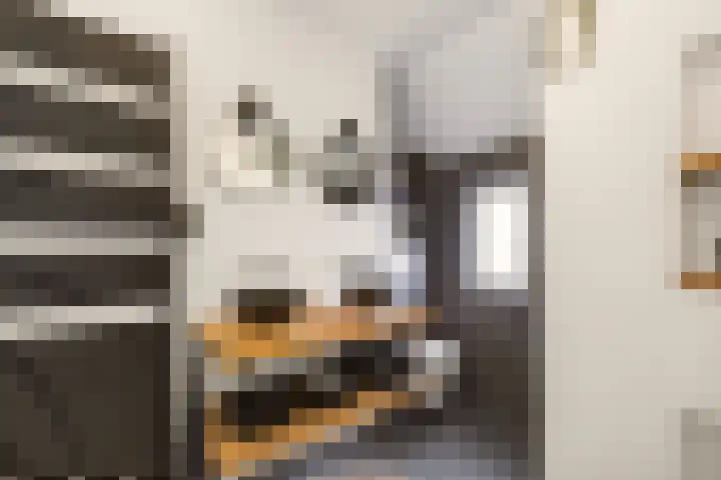 Ekster 31 Raalte thumbnail 22