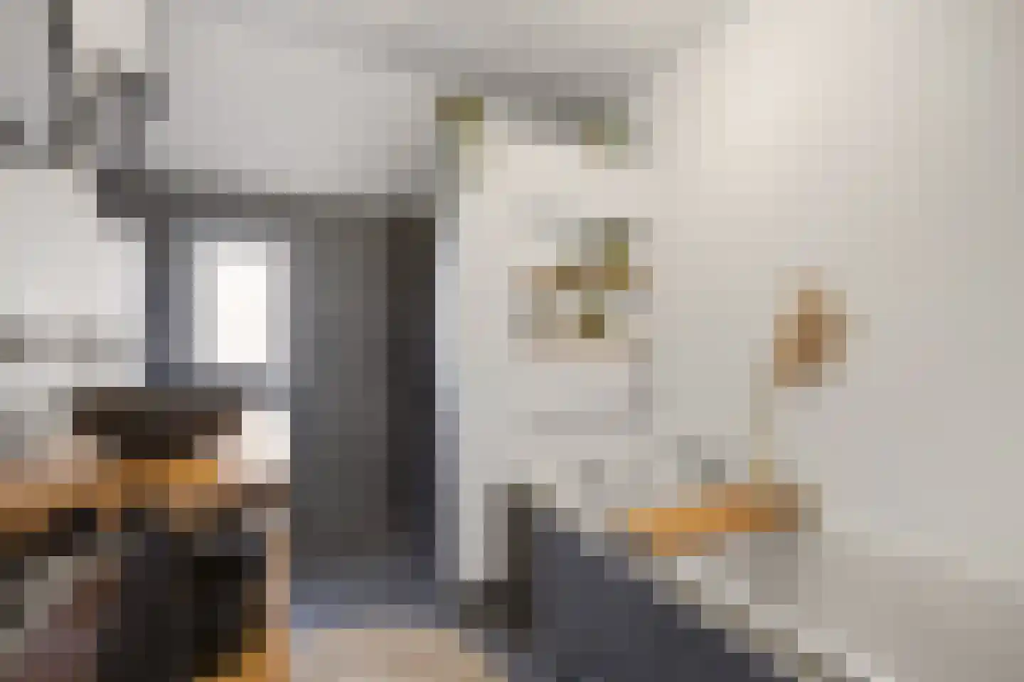 Ekster 31 Raalte thumbnail 23