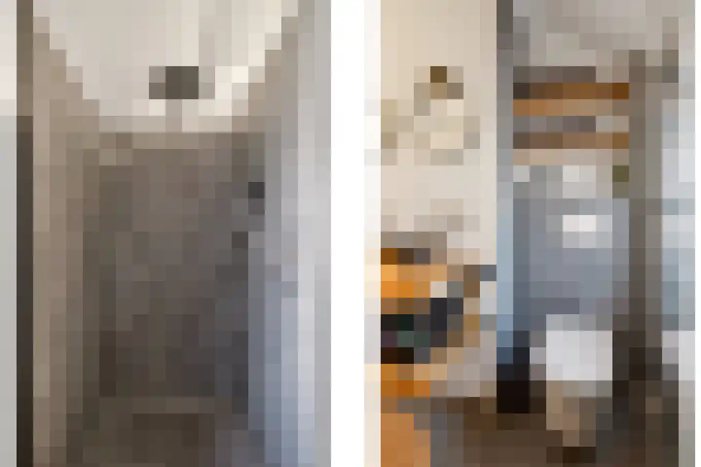Ekster 31 Raalte thumbnail 24