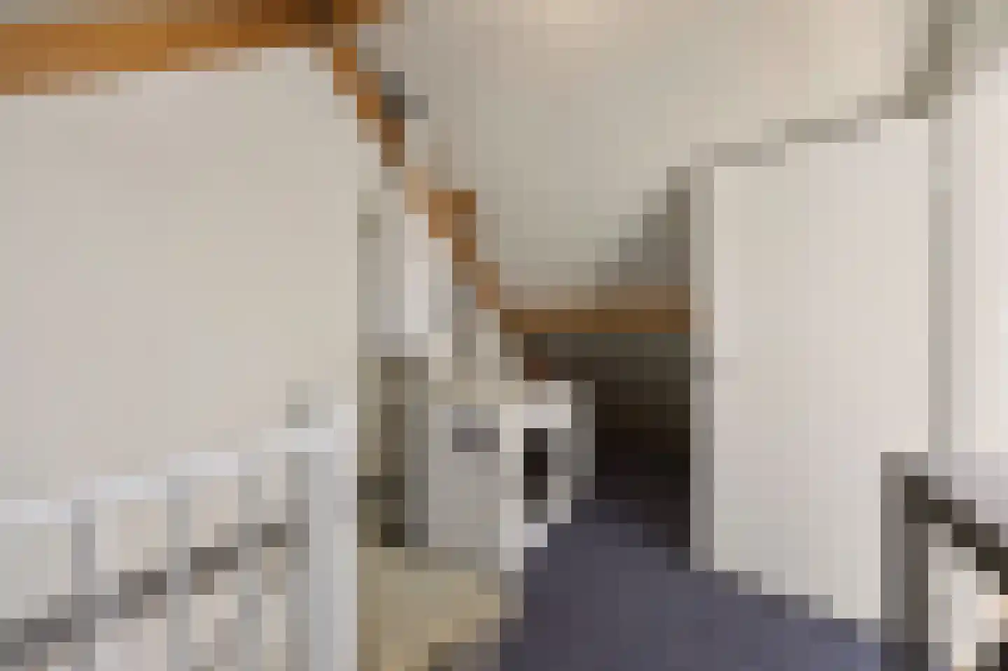 Ekster 31 Raalte thumbnail 25