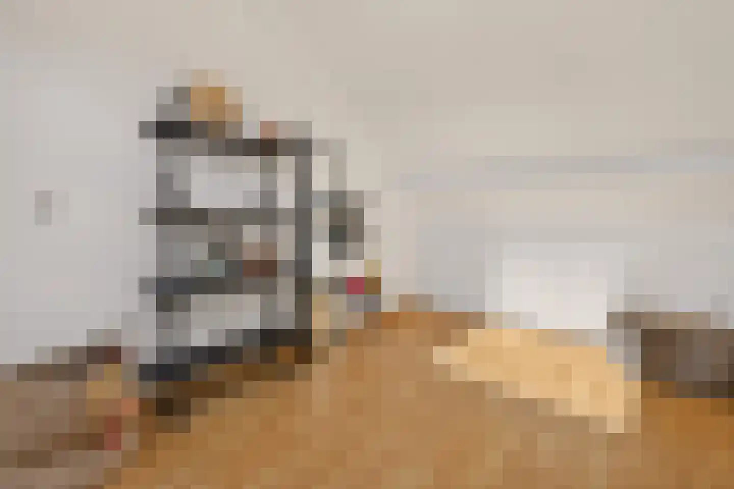 Ekster 31 Raalte thumbnail 28