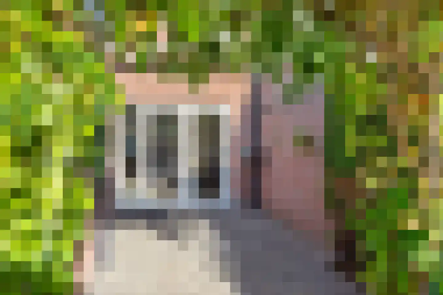 Ekster 31 Raalte thumbnail 31