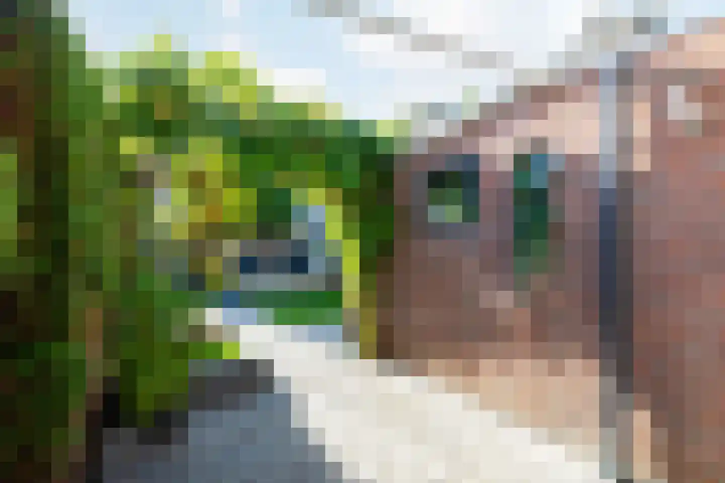 Ekster 31 Raalte thumbnail 32