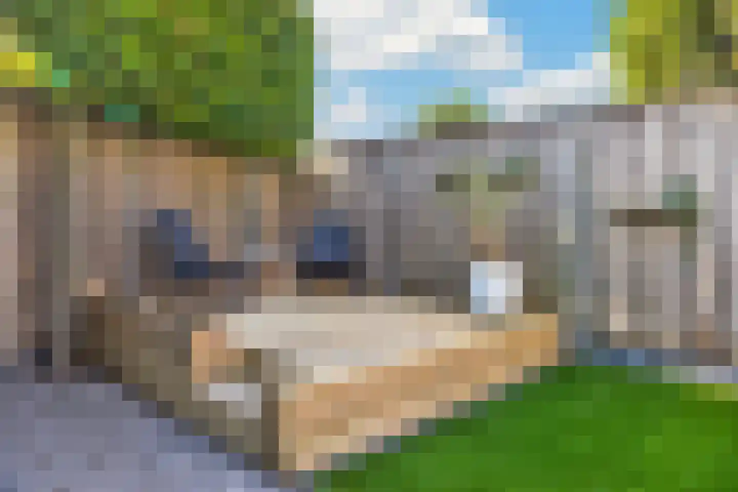 Ekster 31 Raalte thumbnail 33