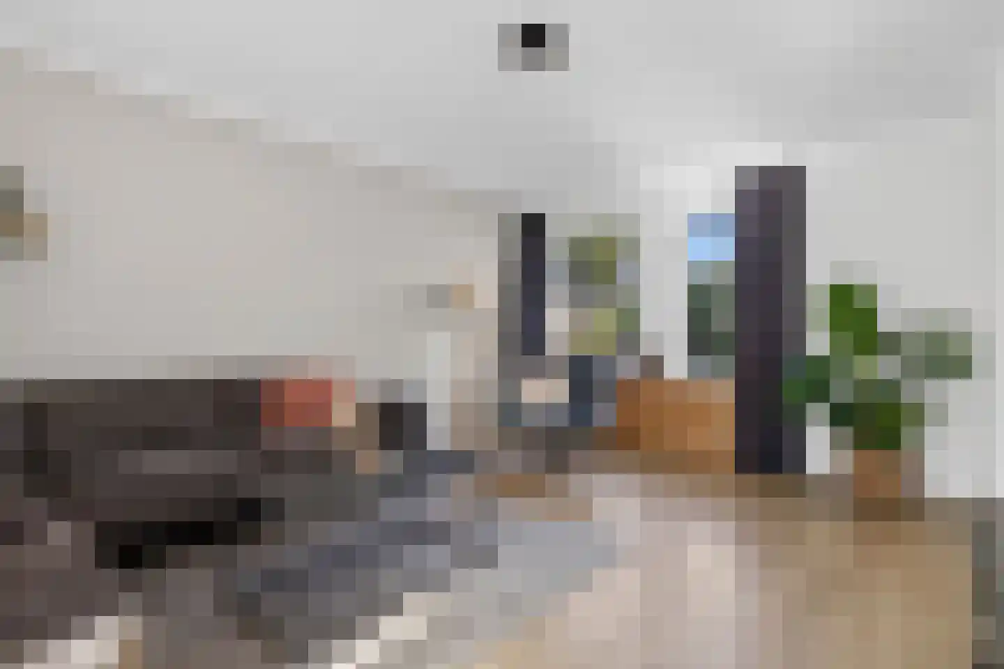 Ekster 31 Raalte thumbnail 5