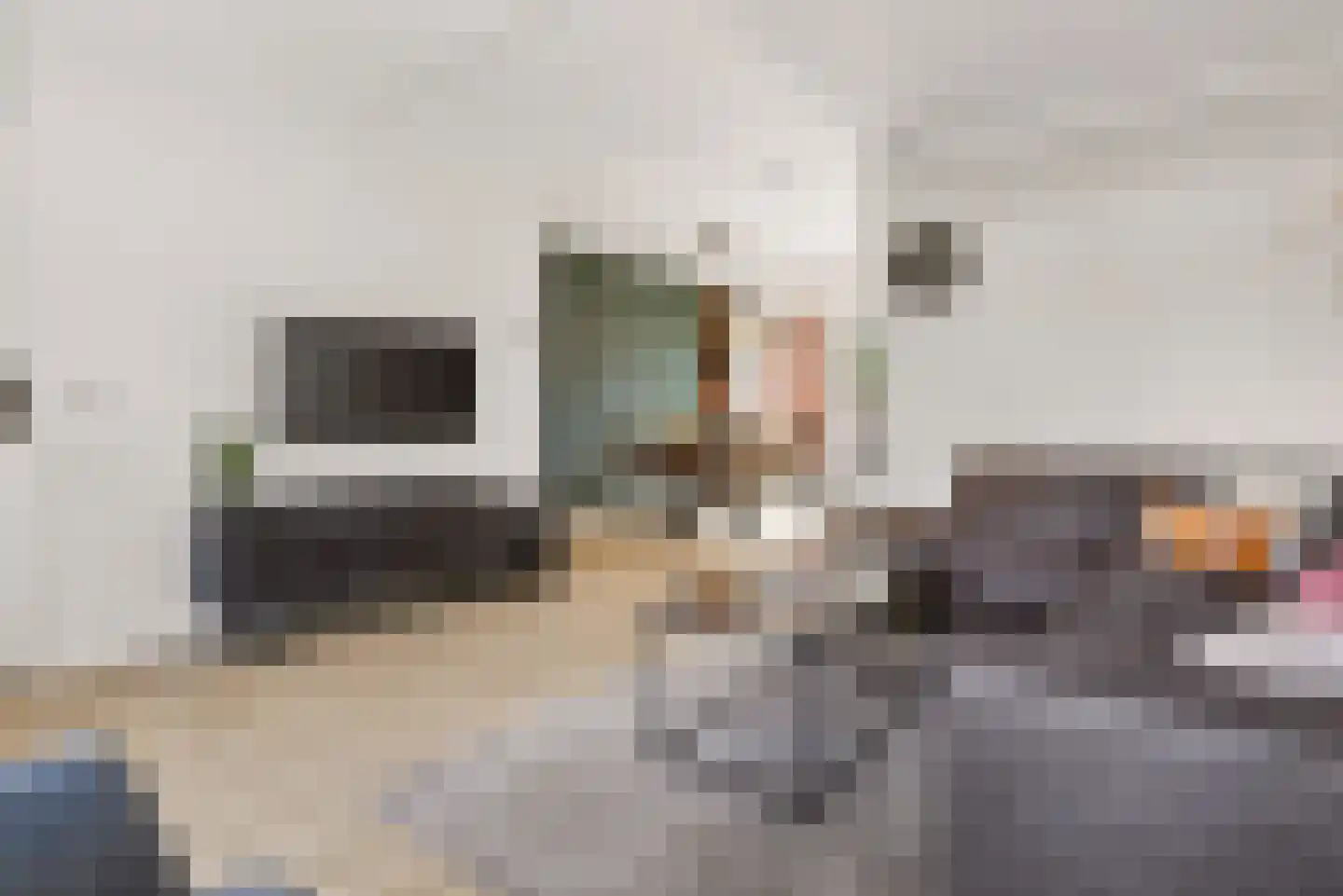 Ekster 31 Raalte thumbnail 8