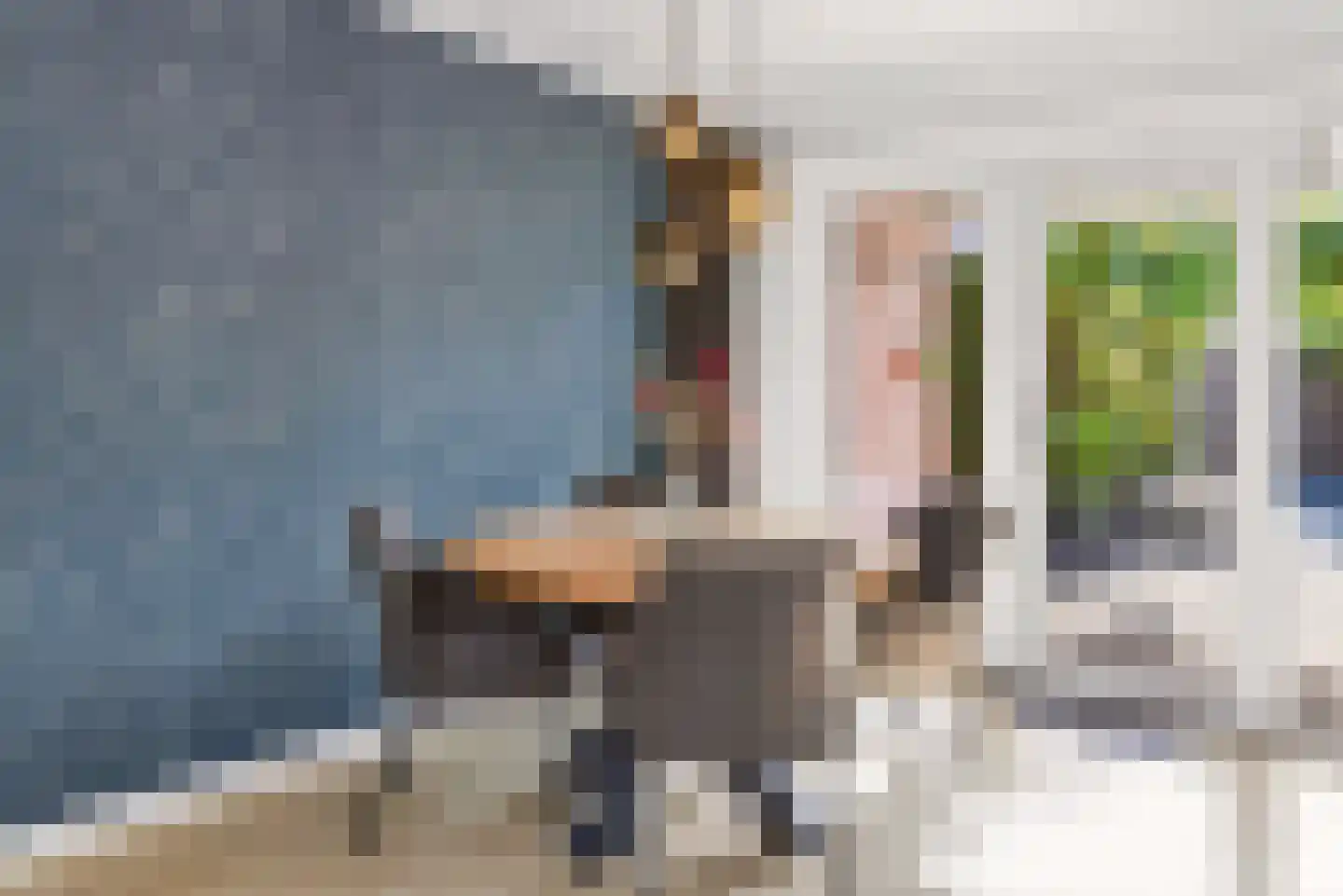 Ekster 31 Raalte thumbnail 9