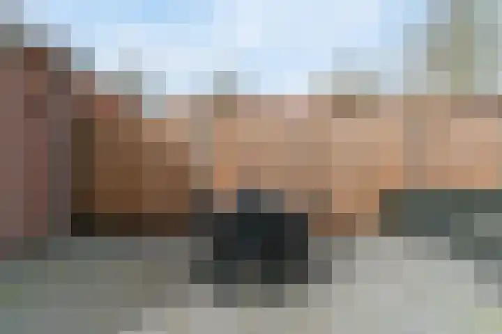 Ekster 4 Hoorn thumbnail 10