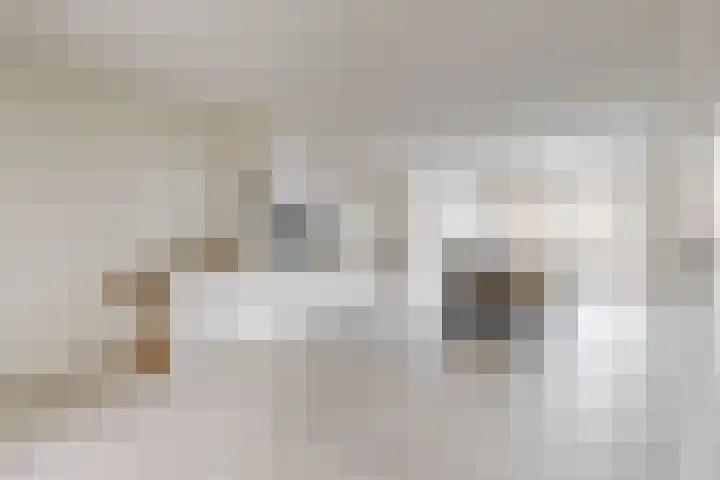 Ekster 4 Hoorn thumbnail 14