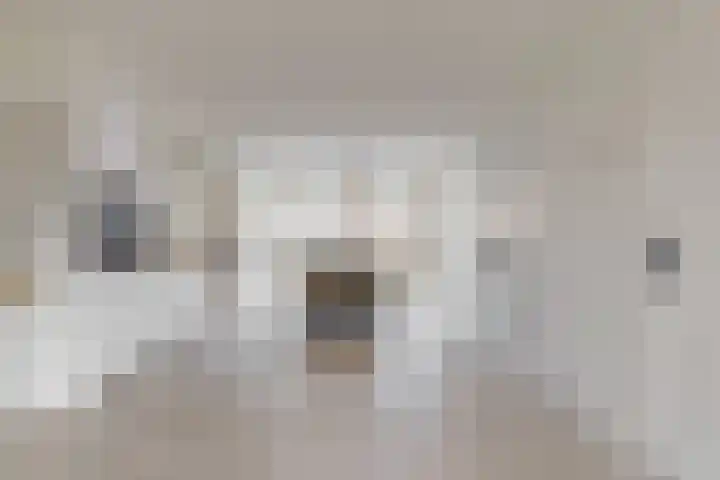 Ekster 4 Hoorn thumbnail 15
