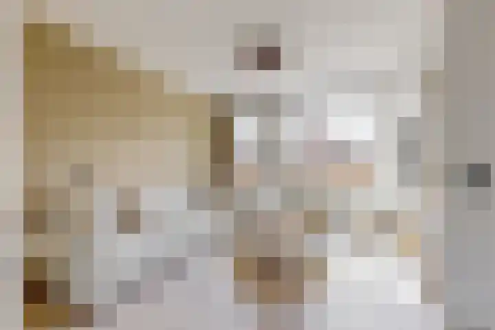 Ekster 4 Hoorn thumbnail 17