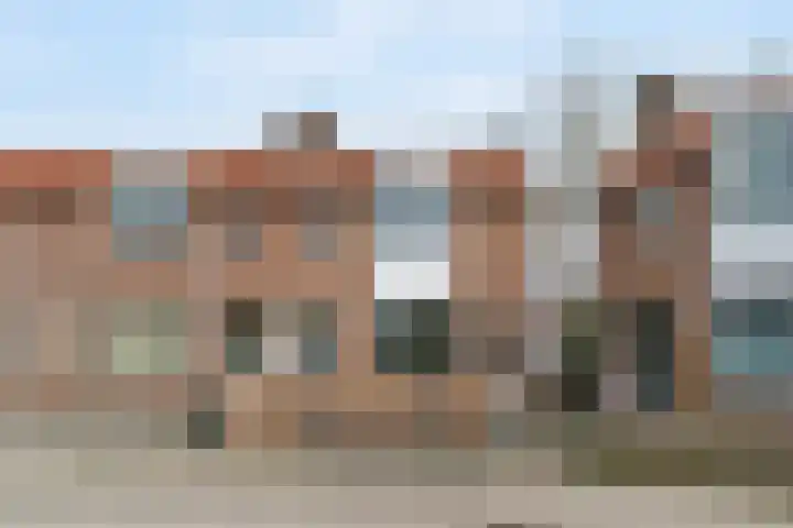 Ekster 4 Hoorn foto 2