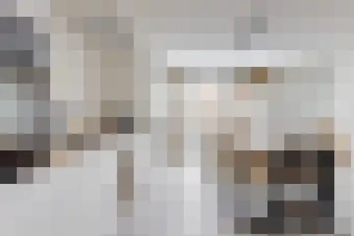 Ekster 4 Hoorn thumbnail 22