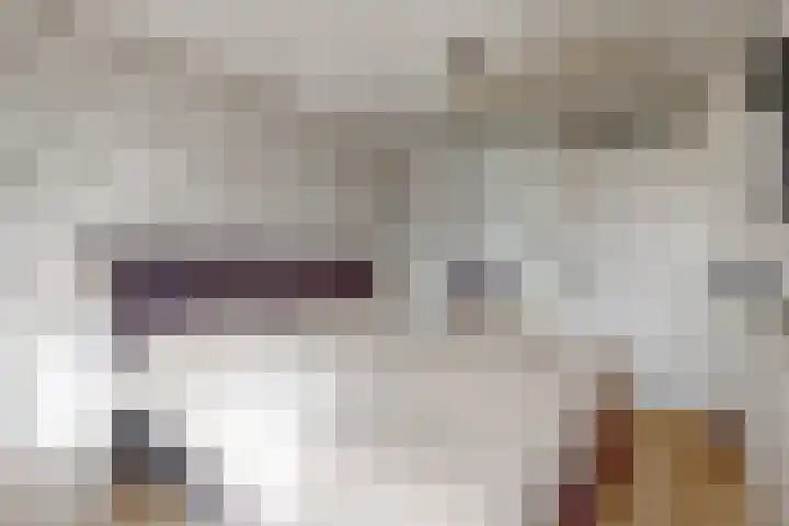 Ekster 4 Hoorn thumbnail 26