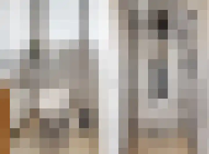 Ekster 4 Hoorn thumbnail 27
