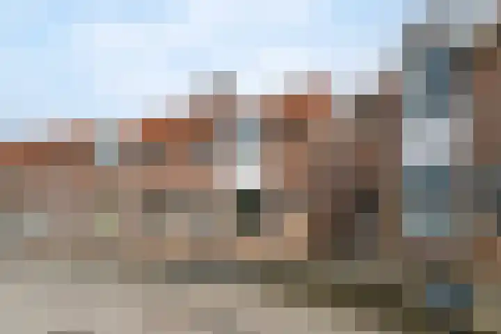 Ekster 4 Hoorn thumbnail 5
