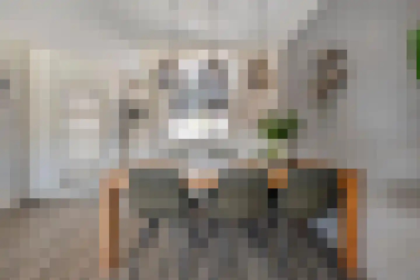 Ekster 46 Raalte thumbnail 12