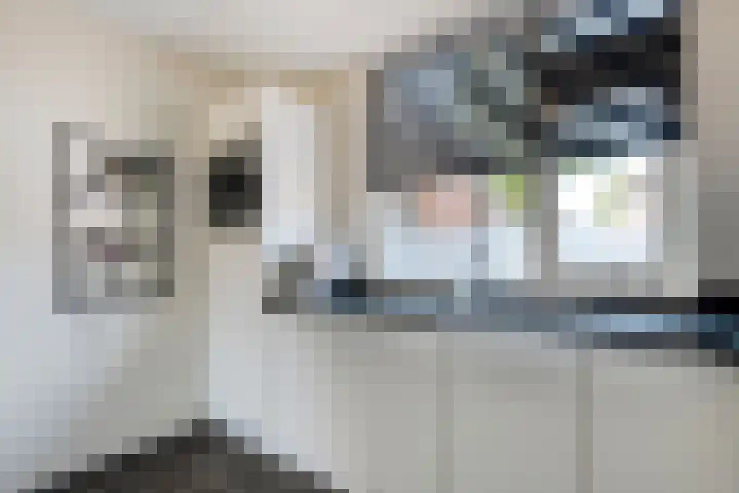 Ekster 46 Raalte thumbnail 14