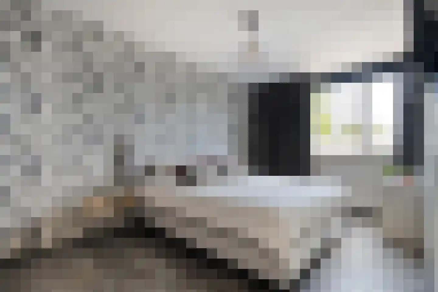 Ekster 46 Raalte thumbnail 18
