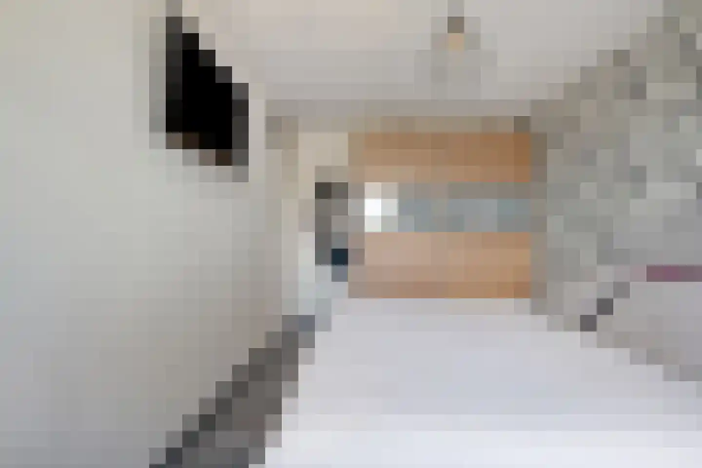 Ekster 46 Raalte thumbnail 19