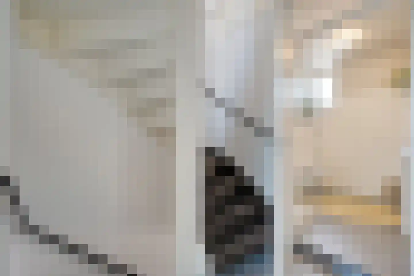 Ekster 46 Raalte thumbnail 28
