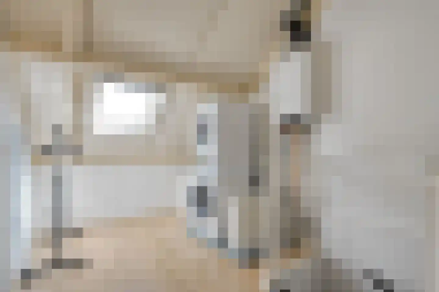 Ekster 46 Raalte thumbnail 29