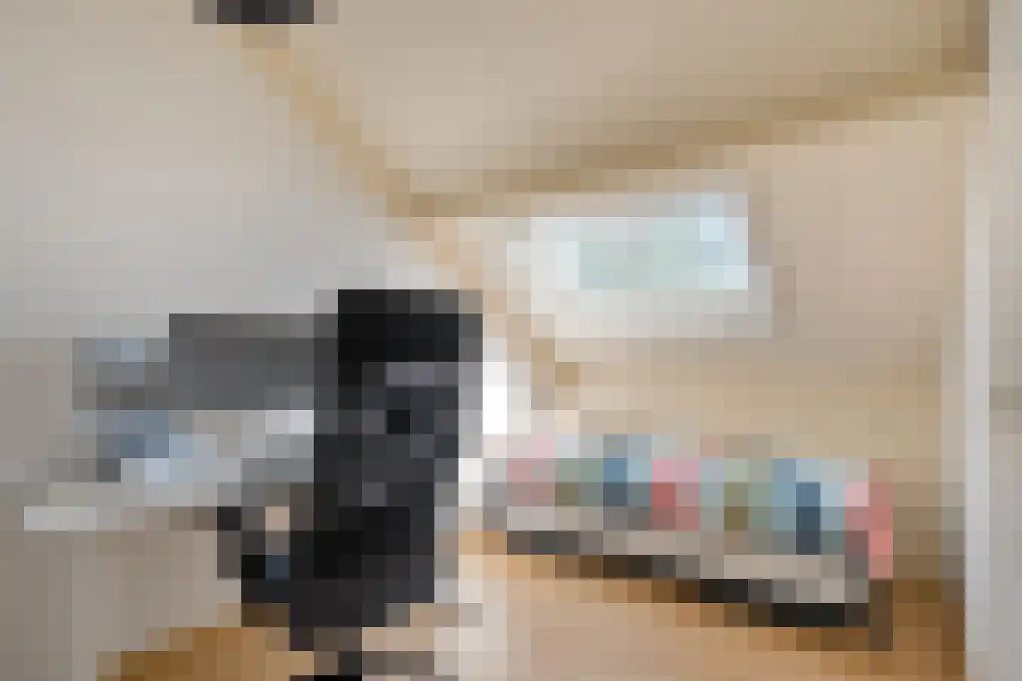 Ekster 46 Raalte thumbnail 31