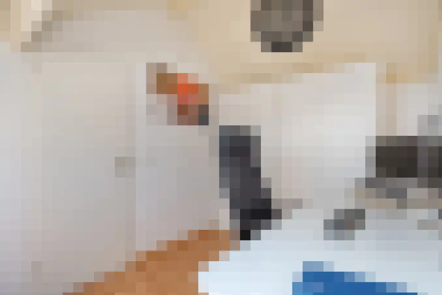 Ekster 46 Raalte thumbnail 32