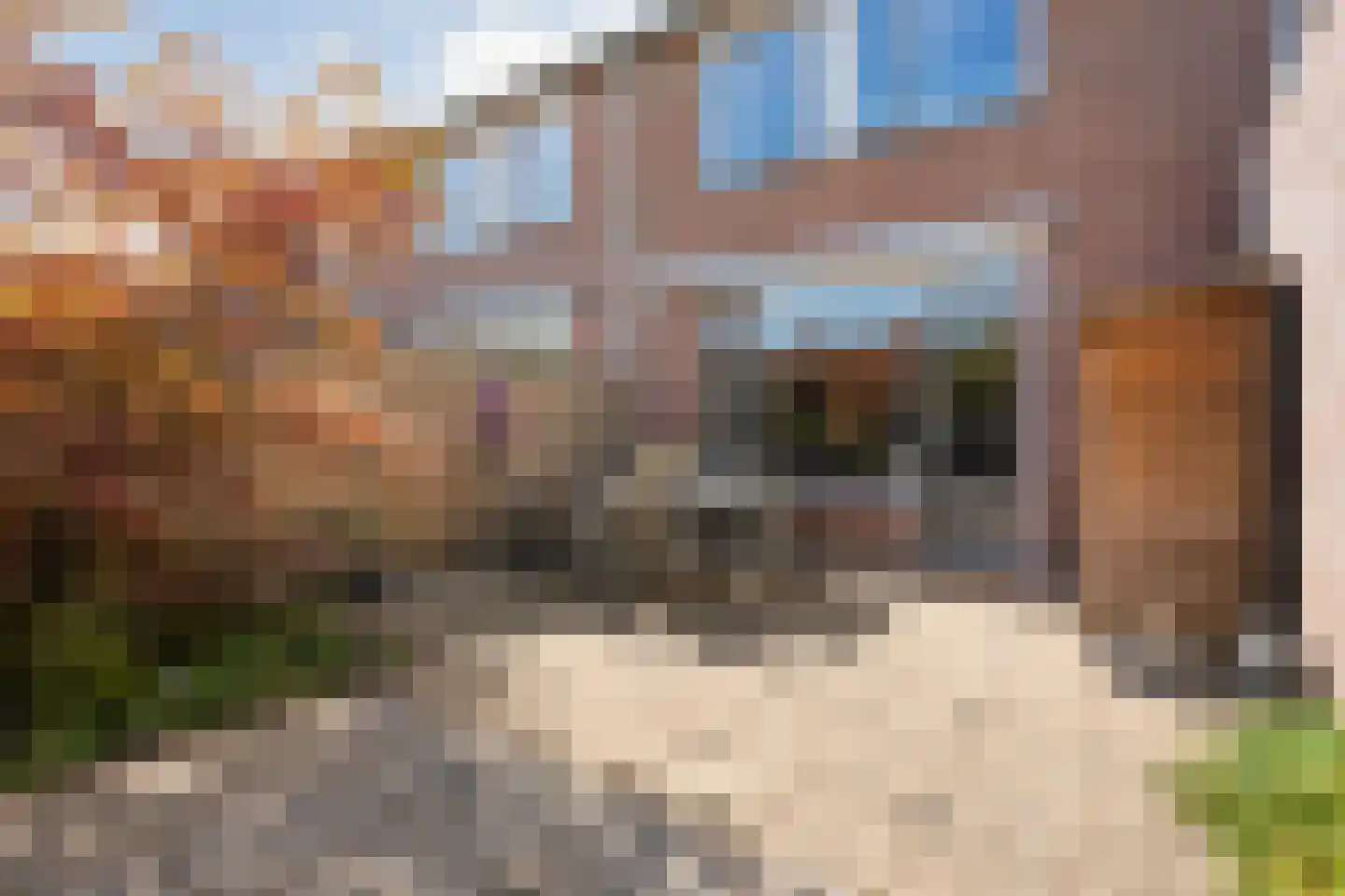 Ekster 46 Raalte thumbnail 34