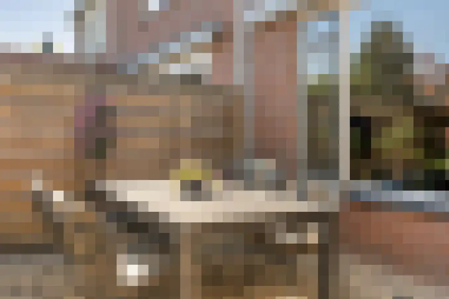 Ekster 46 Raalte thumbnail 35