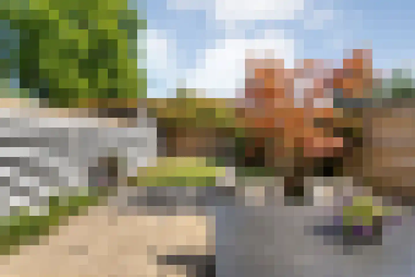 Ekster 46 Raalte thumbnail 36