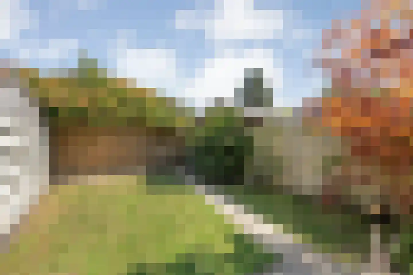 Ekster 46 Raalte thumbnail 37