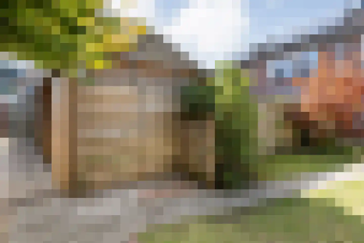 Ekster 46 Raalte thumbnail 38